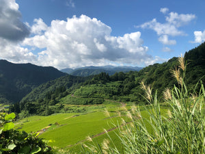 頂米おこわ（冷凍山菜おこわ） 100g 12個入り